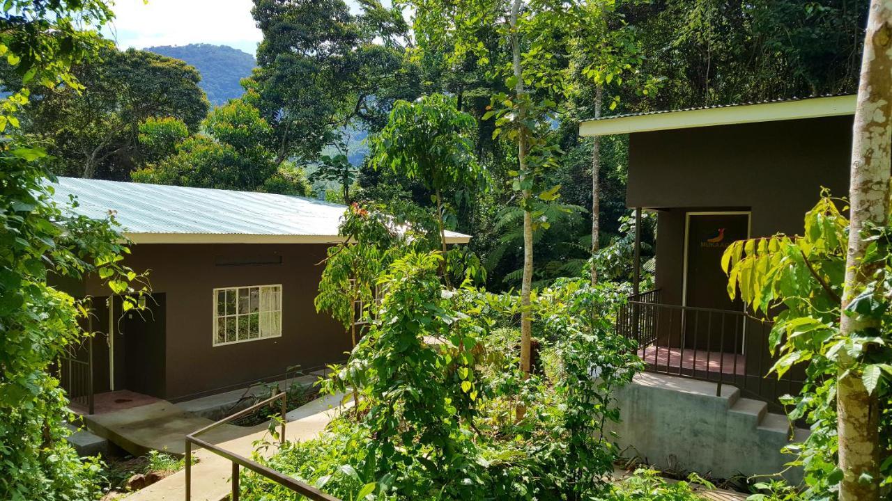 Bwindi Guest House Kanungu Bagian luar foto