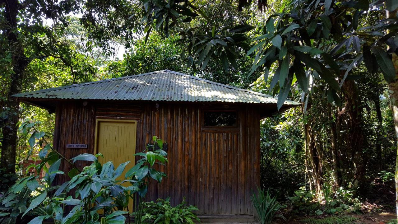 Bwindi Guest House Kanungu Bagian luar foto