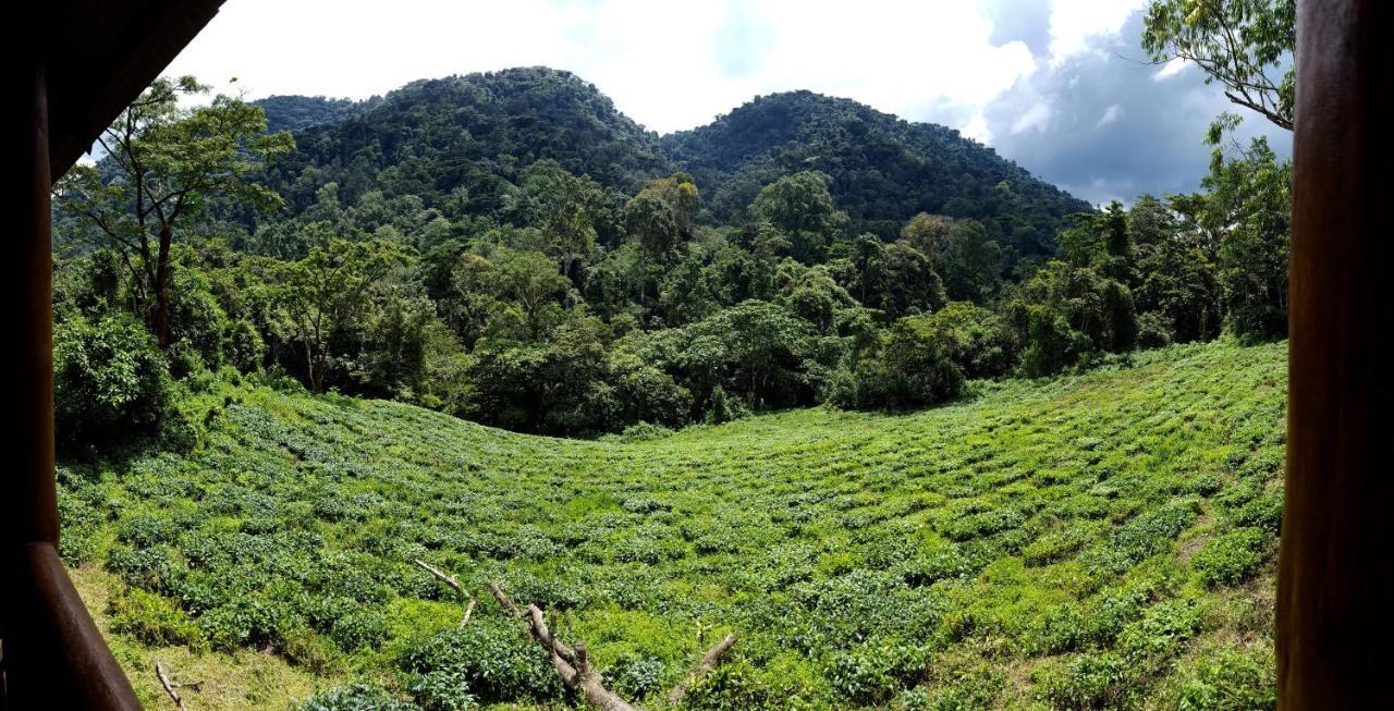 Bwindi Guest House Kanungu Bagian luar foto